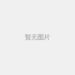 全塑型塑胶跑道：塑造专业运动新体验